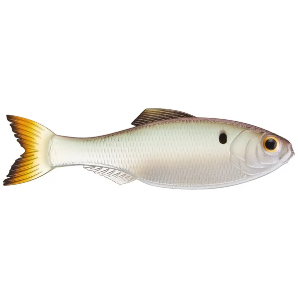 6th Sense Panorama Shad