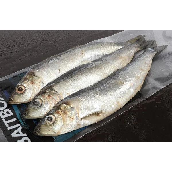 Baitbox Herring Jacks