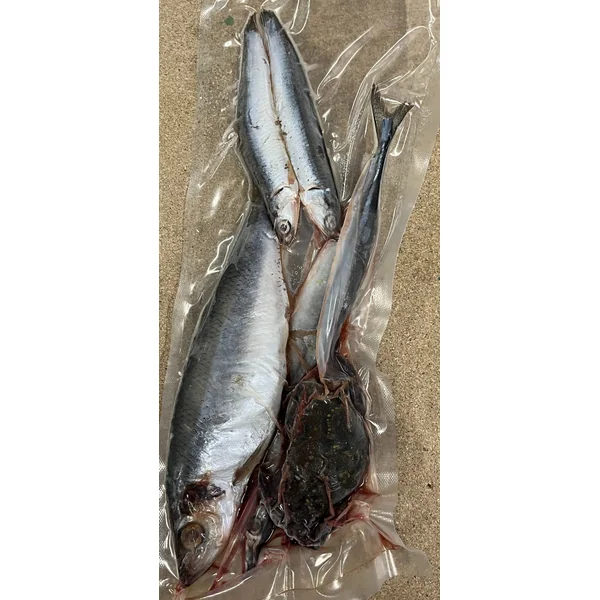 Baitbox Sea Pack with Crab