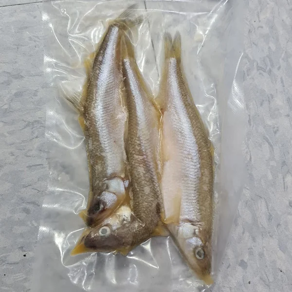 Baitbox Smelt with Pilchard Oil x 3