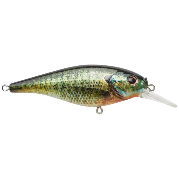 Berkley Flicker Shad HD Shallow Crankbait