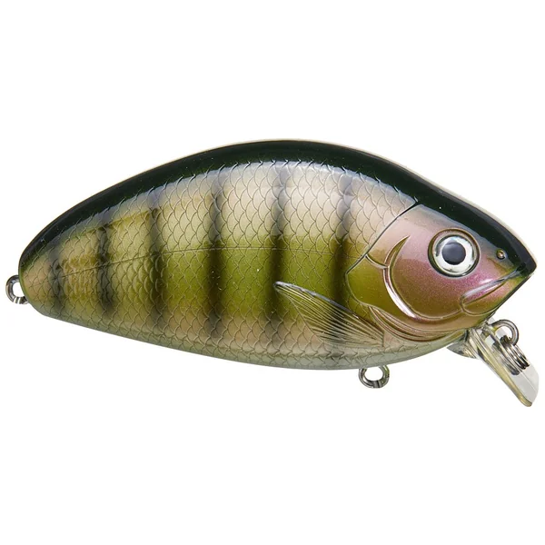 Bigbait Awaken Wakebait