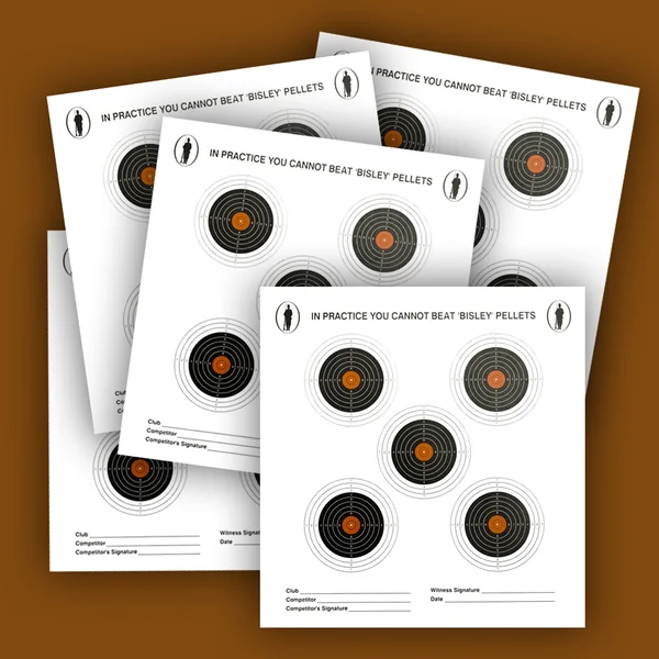 Bisley Five Target on Economy Grade Paper