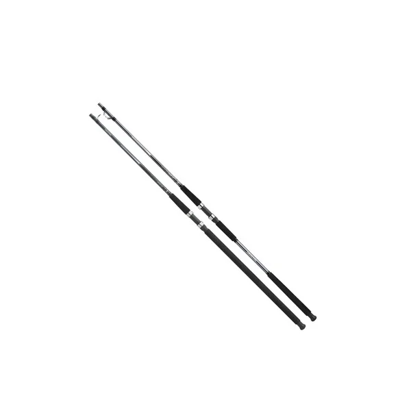 Daiwa SLSA1102HFS Sealine-A Surf Rod