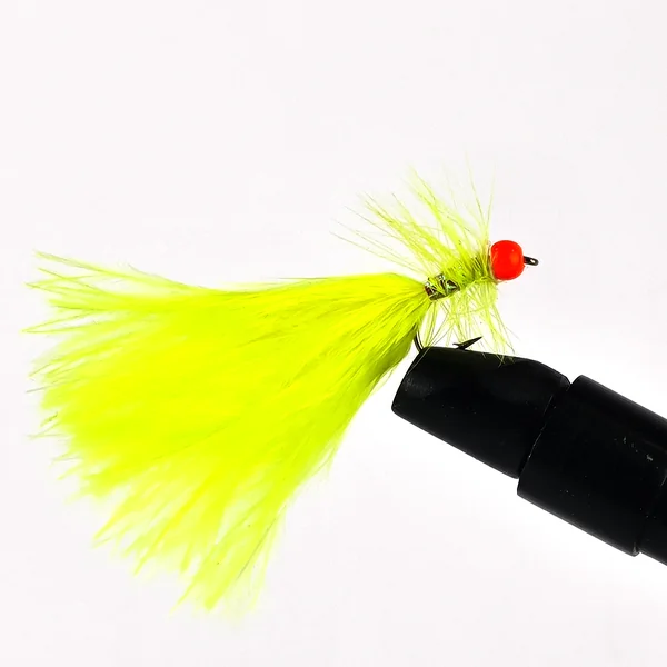 FAF Dancers Selection