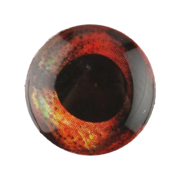 Fish Skull Living Eyes