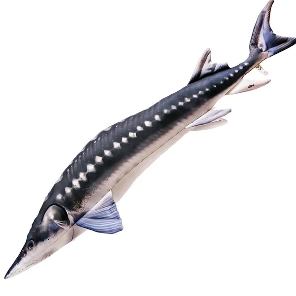 Gaby Monster European Sturgeon Pillow 200cm