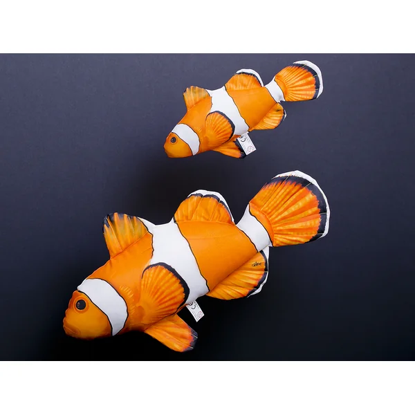 Gaby Ocellaris Clownfish
