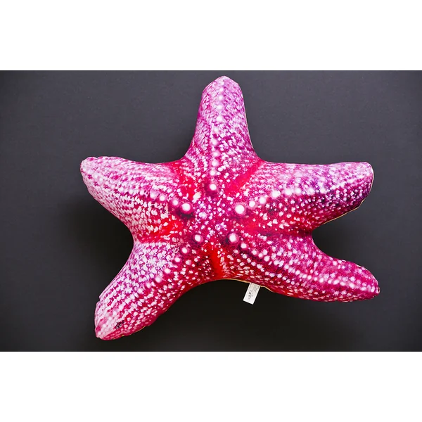Gaby Starfish Pillow