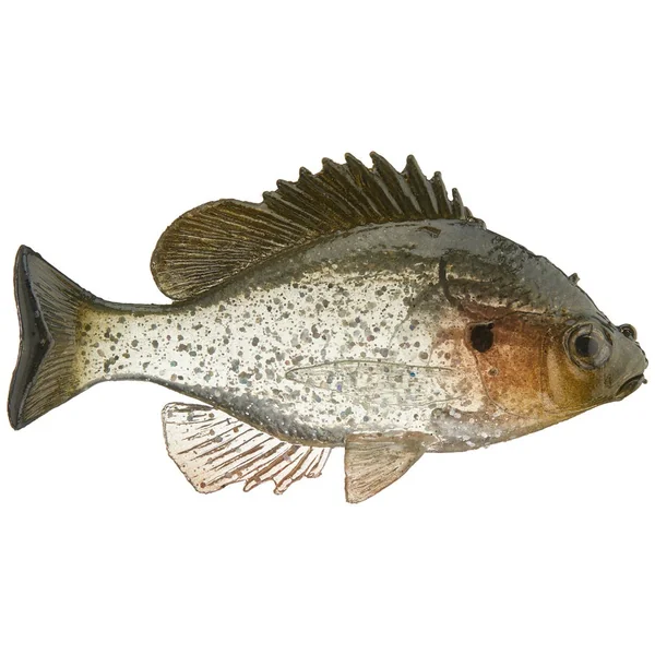 Huddleston Deluxe Bluegill Top Hook Swimbaits