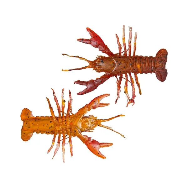 Huddleston Hand Painted Unrigged Huddle Bug 3pk