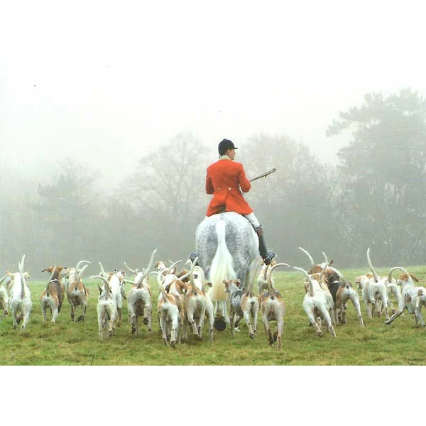 Just Fish Foxhunting Greetings Card