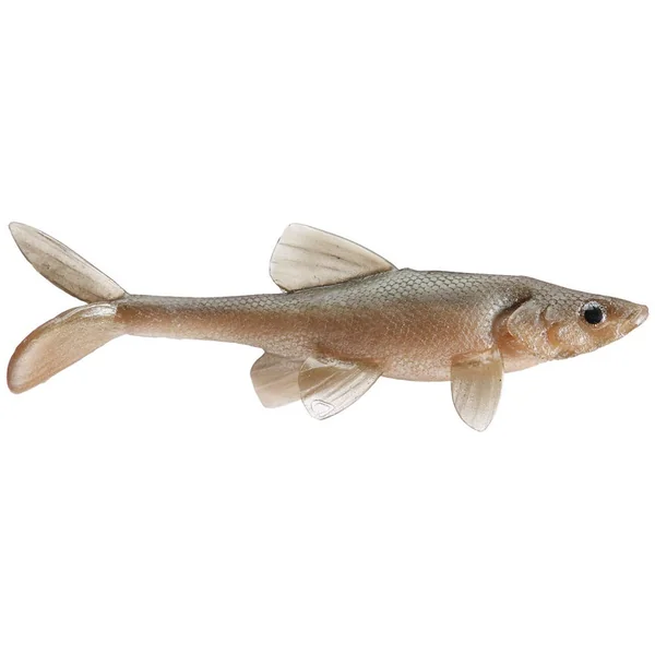 Little Creeper All American 8" Trash Fish Swimbaits