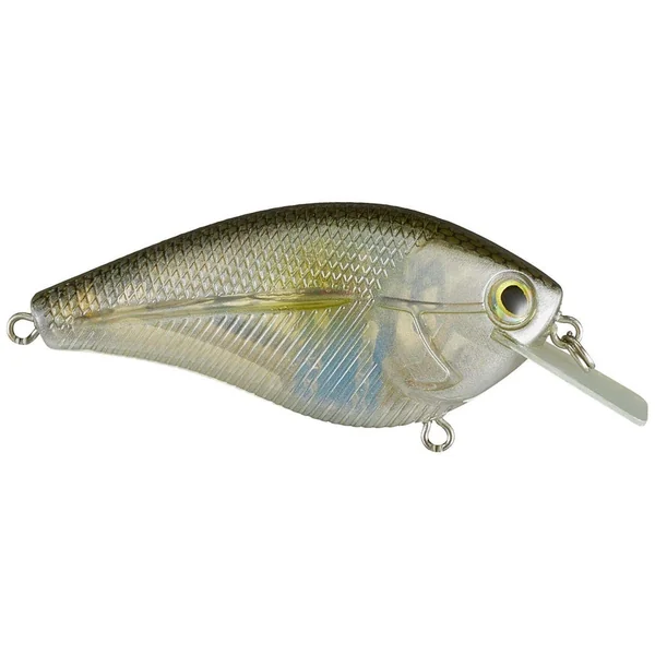 Livingston Primetyme SQ 2.0 Tournament