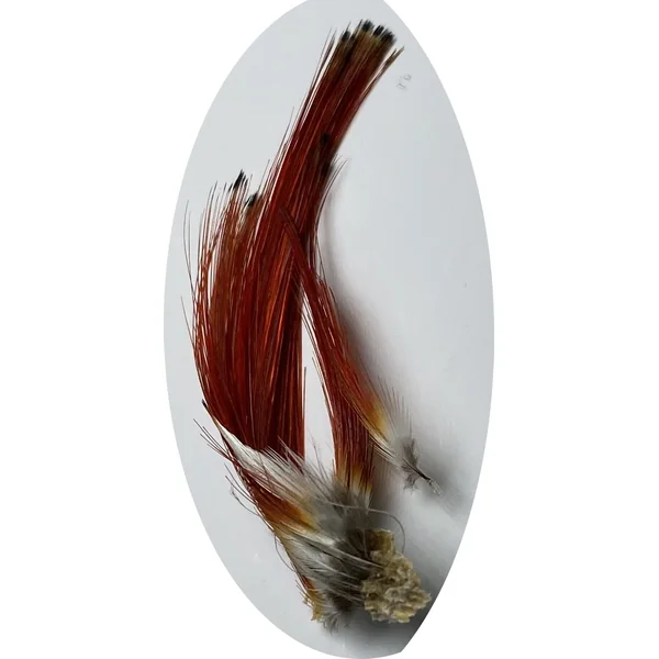 Lureflash Amherest Pheasant Crests