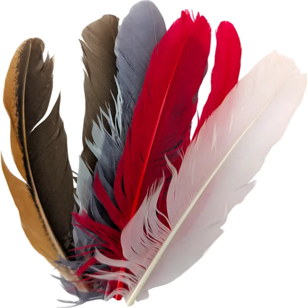 Lureflash Duck Wing Quills Mixed 8 Feathers