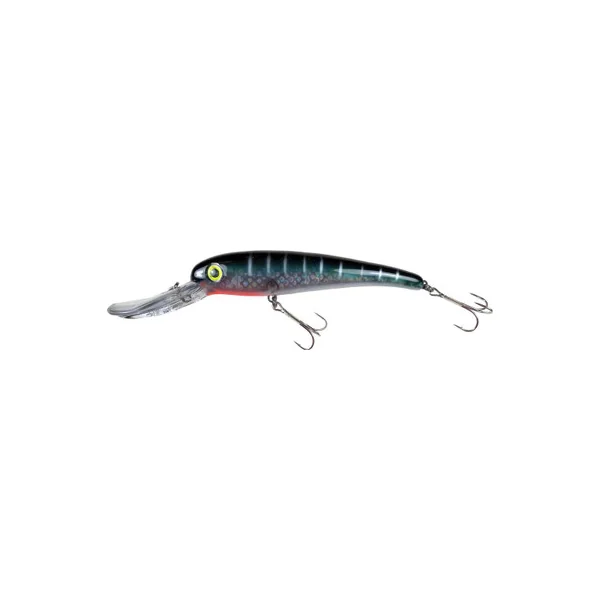 Manns SDRB600-5 Smooth Body Stretch 25+ - Baby Sailfish