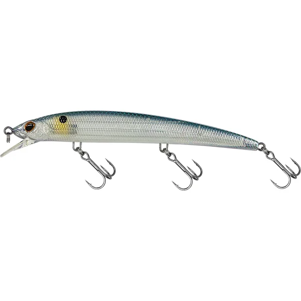 Molix Finder Jerk Evo 110