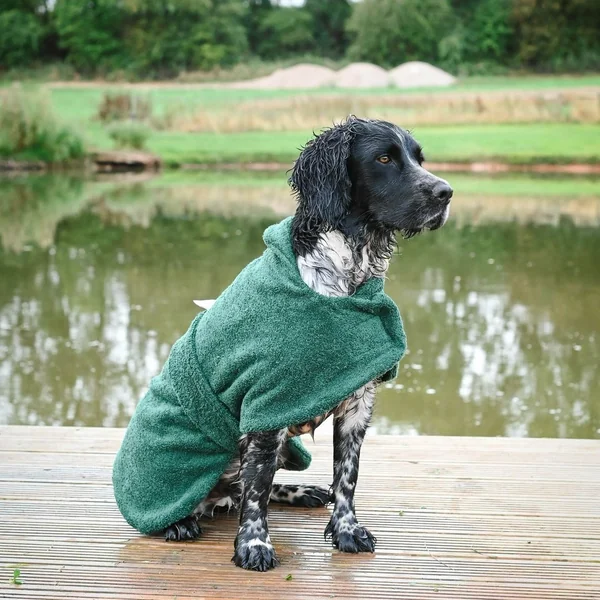 On Point Towelling Dog Coats