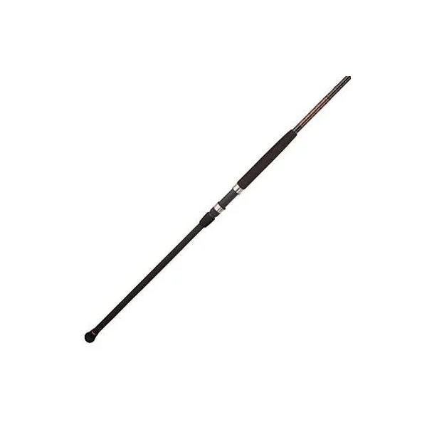 Penn SQDSFII2040S12 Squadron II Surf Rod - 12 ft.