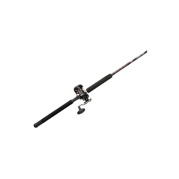 Penn WAR20LW2040C66 Warfare Level Wind Combo