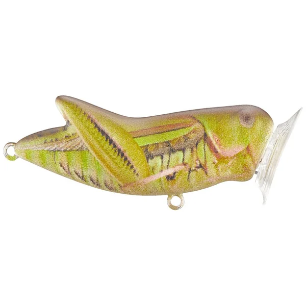 Rebel Crickhopper Topwater Popper