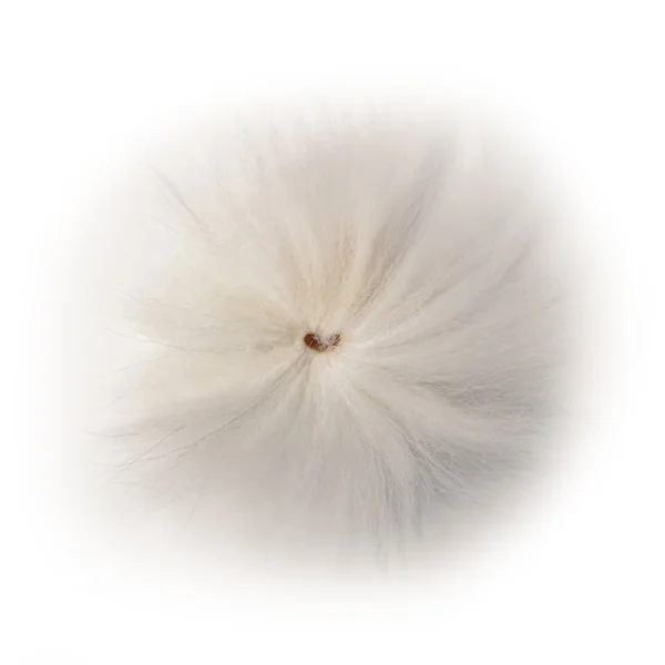 SHOR Arctic Fox Tail