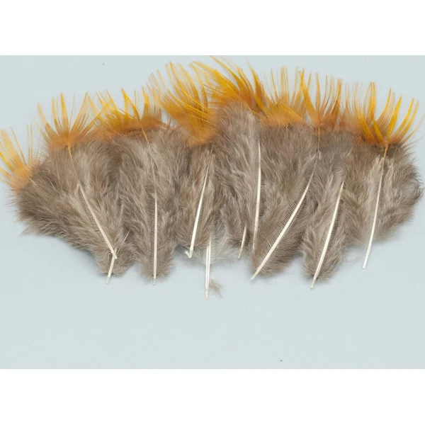 SHOR Golden Pheasant Rump