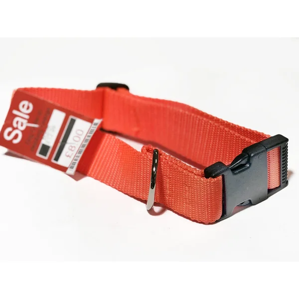 Showroom Decoy Dog Collar In Webbing Orange 60cm