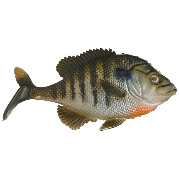 Smash-Tech Custom Baits Bluegill Line-Thru Swimbaits