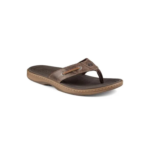 Sperry STS12688 Men's Baitfish Flip-Flop - 8