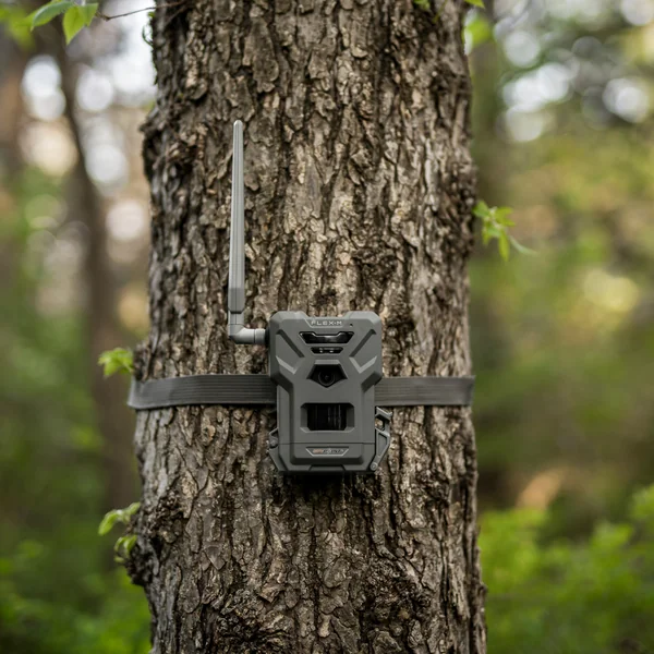 SpyPoint FLEX-M Twin Pack Cellular Trail Camera - Grey