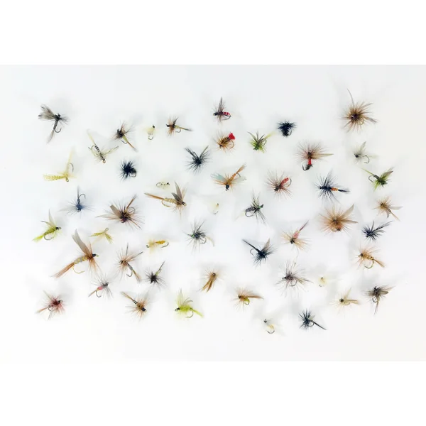 Stillwater Assorted Dry Flies x 50