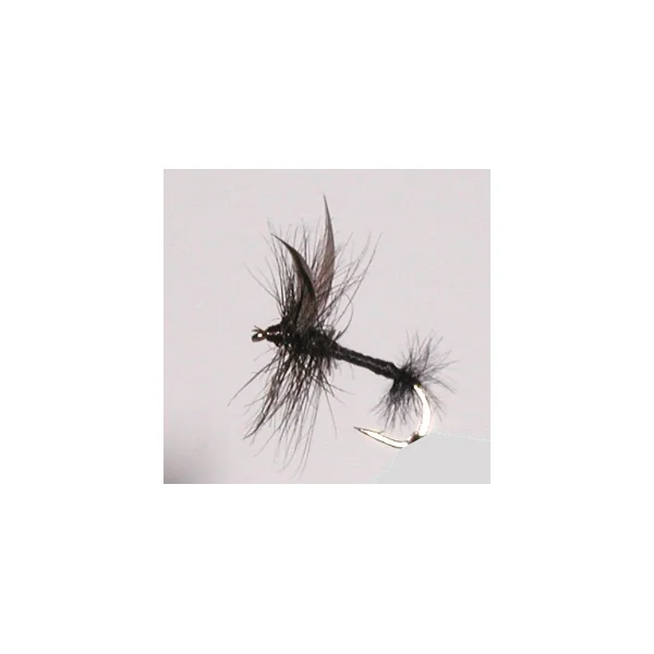 Stillwater Black Ant - 1 Dozen