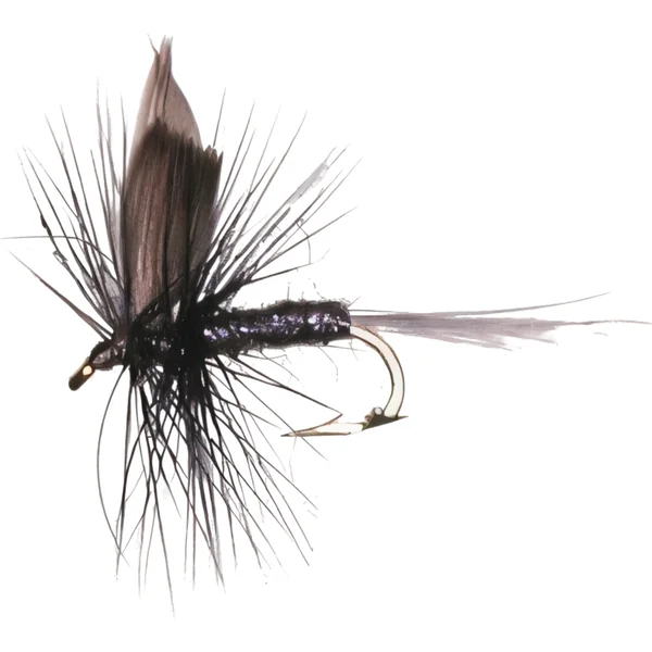 Stillwater Blue Dun - 1 Dozen