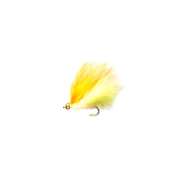 Stillwater Budgie Goldhead - 1 Dozen