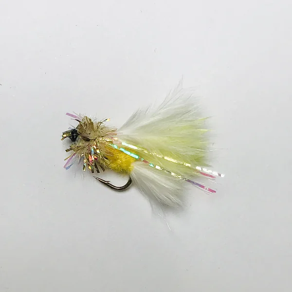 Stillwater Cats Gold Top - 1 Dozen