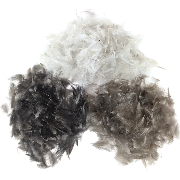 Stillwater CDC Feathers