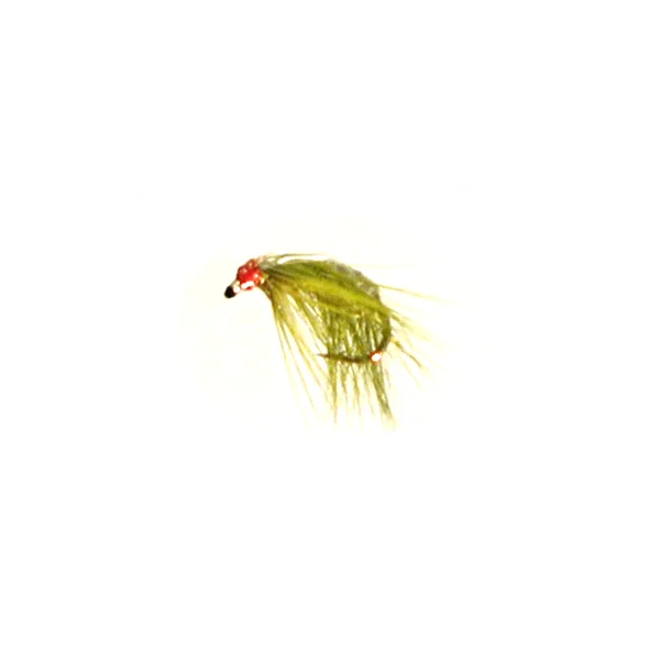 Stillwater Freshwater Shrimp Olive - 1 Dozen