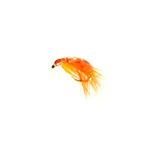 Stillwater Freshwater Shrimp Orange - 1 Dozen