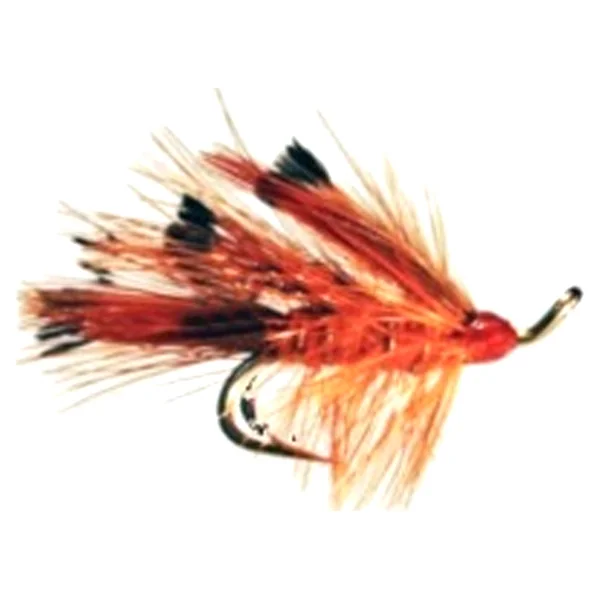 Stillwater General Practitioner Double - 1 Dozen