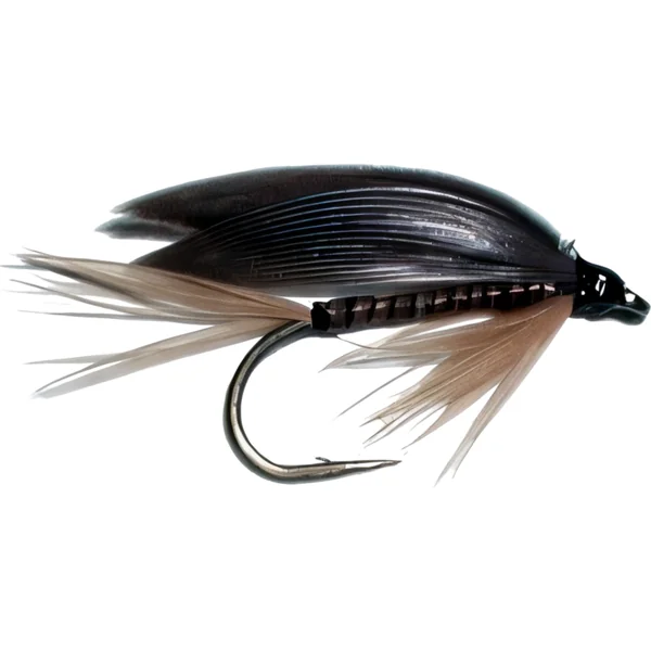 Stillwater Ginger Quill - 1 Dozen