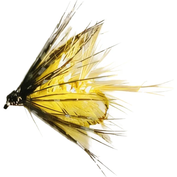 Stillwater Golden Bumble - 1 Dozen