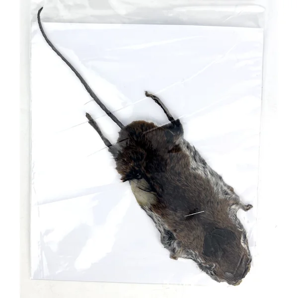 Stillwater Mouse Skin Complete