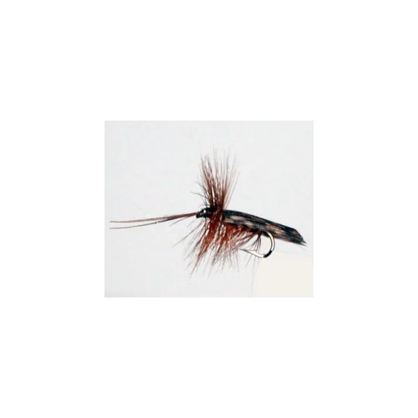 Stillwater Murrough Sedge - 1 Dozen