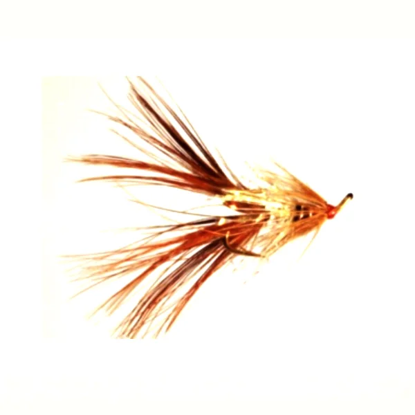 Stillwater Octopus - 1 Dozen