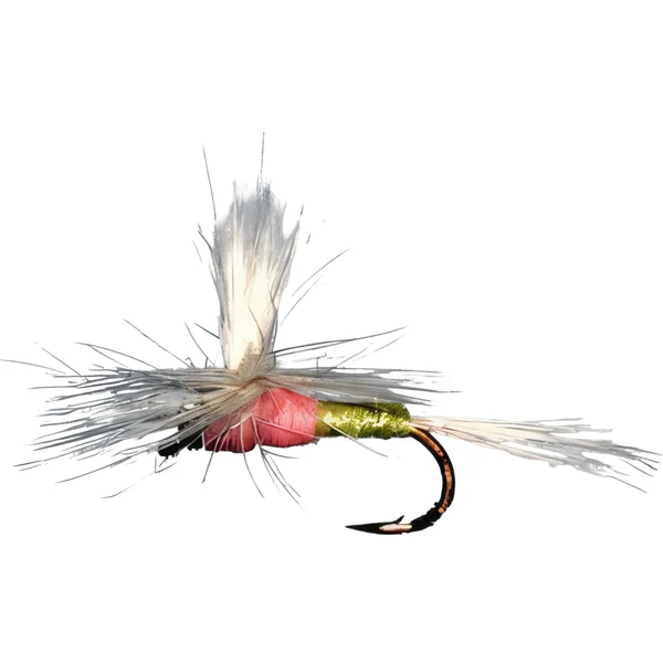 Stillwater Parachute Tups - 1 Dozen