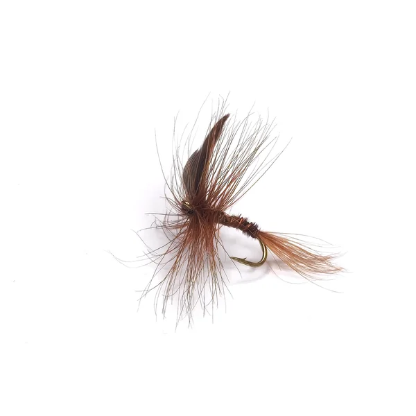 Stillwater Pheasant Tail Wing Dry Fly - 1 Dozen