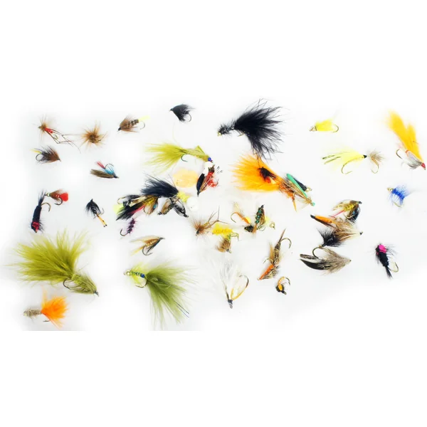 Stillwater Reservoir Trout Selection x 50