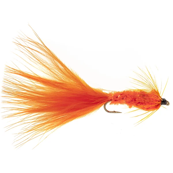 Stillwater Tadpole Orange - 1 Dozen